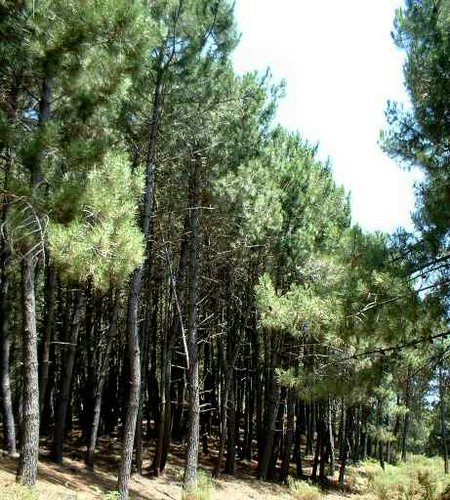 Parques Naturales